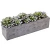 Nearly Natural Succulent Garden With Textured Concrete Planter -Fresh Plant Store GUEST bde8a782 12b0 460c 8057 829744872dab