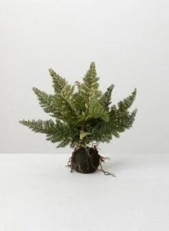 Sullivans Artificial Fern In Ball -Fresh Plant Store GUEST c0e1cdf8 1554 40cb b369 f14637aa0f66