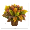 Nearly Natural 17-in Garden Croton Artificial Plant In Basket (Real Touch) 2 Nearly Natural 17-in Garden Croton Artificial Plant In Basket (Real Touch) -Fresh Plant Store GUEST c45d61b1 0c2c 4989 be85 ced928617db2