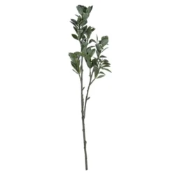 Vickerman Artificial Green And White Aglaia Spray 13 Vickerman Artificial Green And White Aglaia Spray -Fresh Plant Store GUEST c7ae8d81 e935 4583 8319 136d99c3aee0