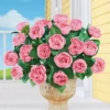 Collections Etc Cabbage Rose Bushes Set Of 3 3 Collections Etc Cabbage Rose Bushes Set Of 3 -Fresh Plant Store GUEST da5d2683 c944 4c9b a2f5 96f6021cee5b