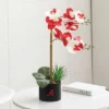 Forever Leaf Alabama State Faux Orchid, Indoor Artificial Plant For Home Decor 5 Forever Leaf Alabama State Faux Orchid, Indoor Artificial Plant For Home Decor -Fresh Plant Store GUEST dbf21571 0612 47fe b257 47a56fee81c7
