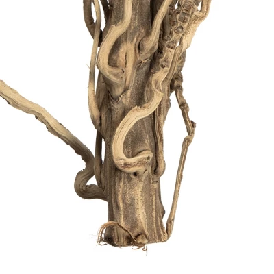 Vickerman Natural Medusa Branch, Dried 4 Vickerman Natural Medusa Branch, Dried - Image 4