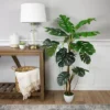 Northlight Real Touchâ„¢ Artificial Monstera Artificial Plant In A White Textured Pot - 4.25' 2 Northlight Real Touchâ„¢ Artificial Monstera Artificial Plant In A White Textured Pot - 4.25' -Fresh Plant Store GUEST e75747a3 1809 45d4 bd1e a75f2f0607e1