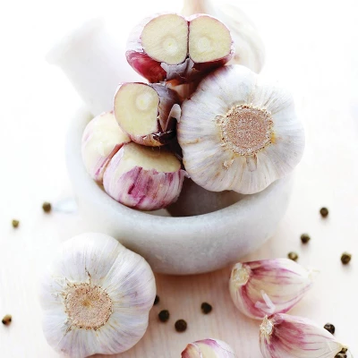 Van Zyverden 3ct Cloves Garlic Standard Purple Strip Chesnok Red 3 Van Zyverden 3ct Cloves Garlic Standard Purple Strip Chesnok Red - Image 3