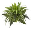 Nearly Natural 22-in Mixed Greens And Fern Artificial Bush Plant (Set Of 3) -Fresh Plant Store GUEST ee278a3c 13d6 42ab a0a5 1aad3afa7dc5