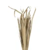 Vickerman Natural Botanicals Sun Palm Leaf -Fresh Plant Store GUEST f7cb0301 86bc 4320 8f83 01732205bc35