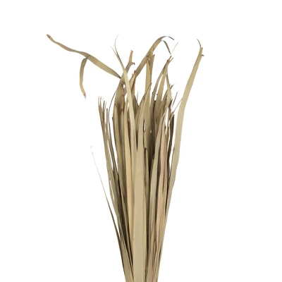 Vickerman Natural Botanicals Sun Palm Leaf 1 Vickerman Natural Botanicals Sun Palm Leaf