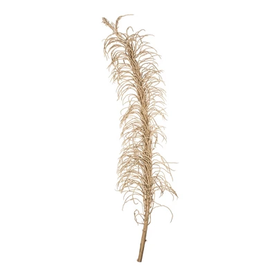 Vickerman Natural Medusa Branch, Dried 6 Vickerman Natural Medusa Branch, Dried - Image 6
