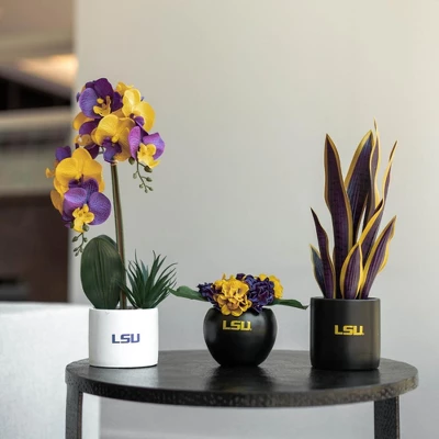 Forever Leaf LSU Artificial Snake, Orchid And Hydrangea Plants 3-Pack Bundle, Indoor Artificial Plant For Home Decor 2 Forever Leaf LSU Artificial Snake, Orchid And Hydrangea Plants 3-Pack Bundle, Indoor Artificial Plant For Home Decor - Image 2