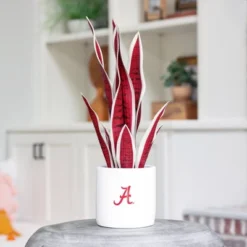 Forever Leaf University Of Alabama Faux Snake Plant, Indoor Artificial Plant For Home Decor -Fresh Plant Store GUEST fe8fddb1 1ed2 4585 831c 87443c068c46