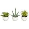 Nearly Natural Southwest Collection (Set Of 3) -Fresh Plant Store GUEST ff5c643a 0e8d 491b a73c 7a0c7c4ce4ab