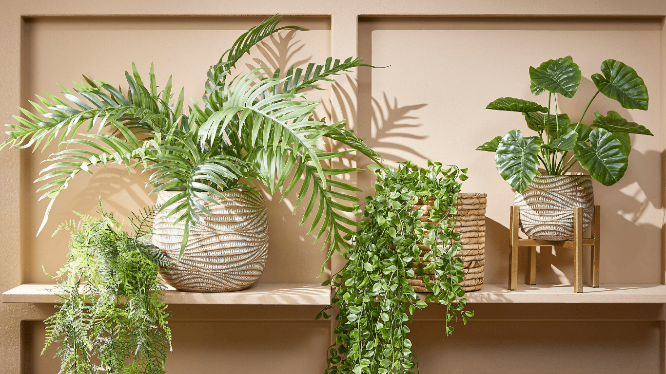 Front Page -Fresh Plant Store Ontwerp zonder titel 4 min